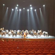 KSD2017-AUDC De Meervaart repetitie 9